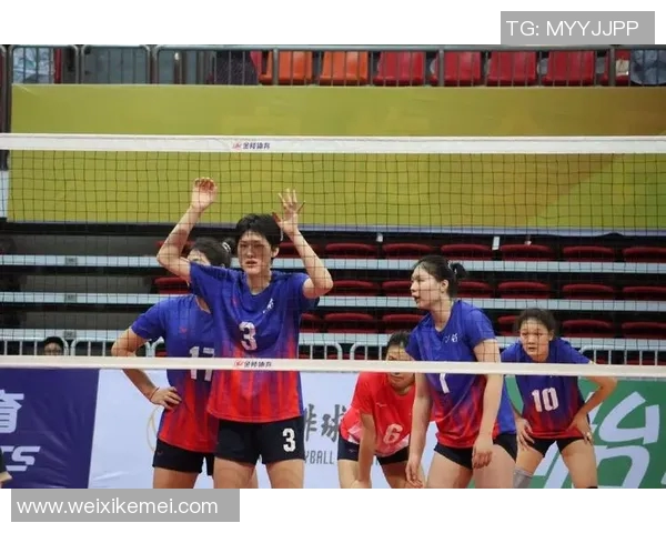 中国男排与中国女排的巅峰对决谁能在赛场上赢得荣耀与尊重